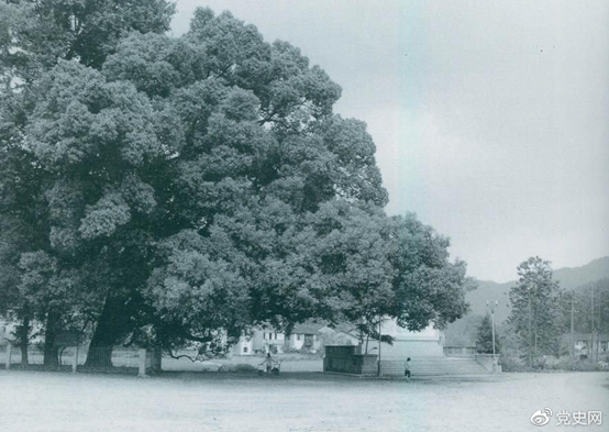 1633660980162793.png 9.29.png